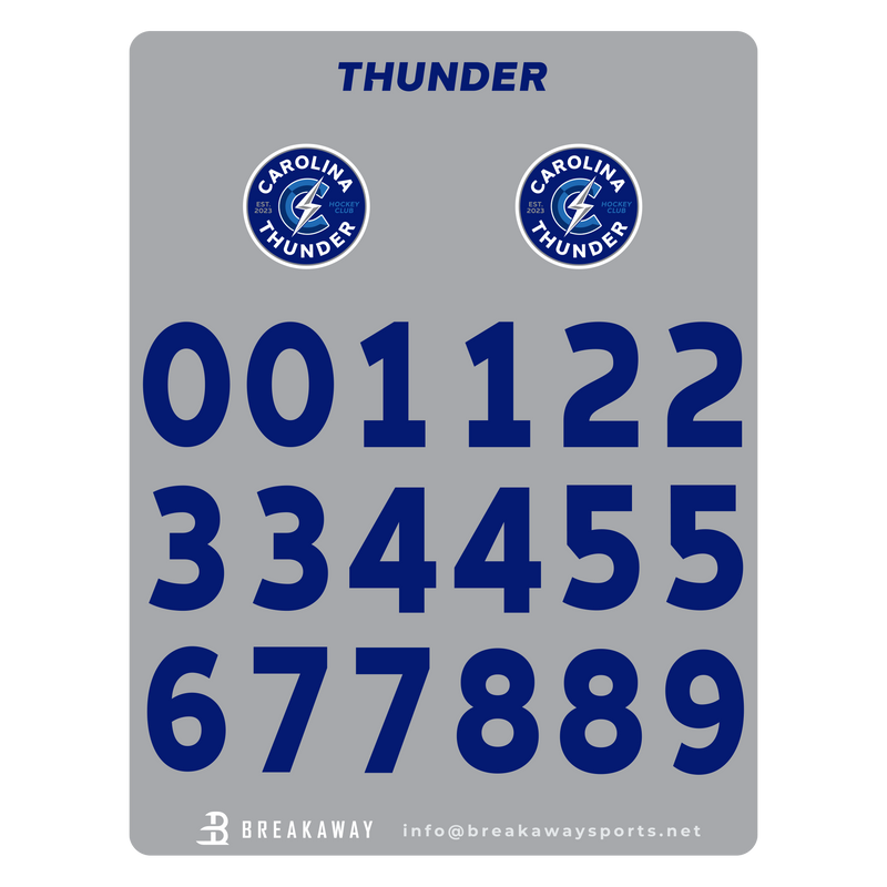 Carolina Thunder Helmet Stickers